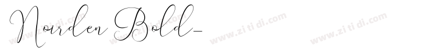 Noirden Bold字体转换